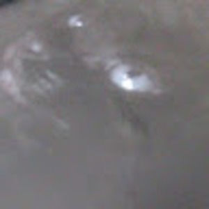 Meet your Posher, Ima pink dino